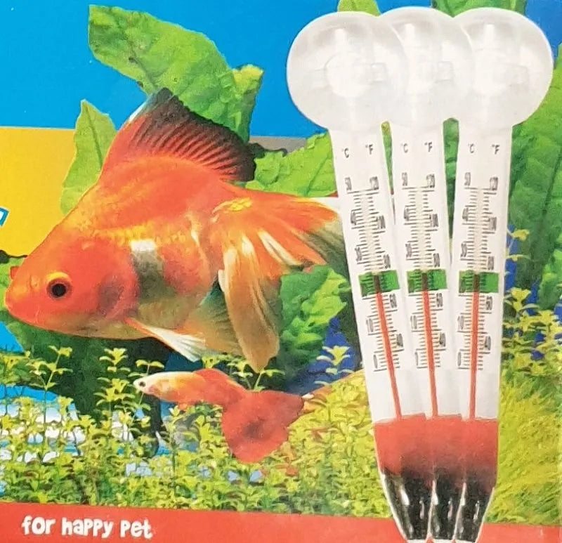 Wasserthermometer aus Glas mit Saugnapf