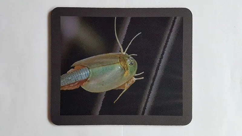 Mousepad Triops Longicaudatus