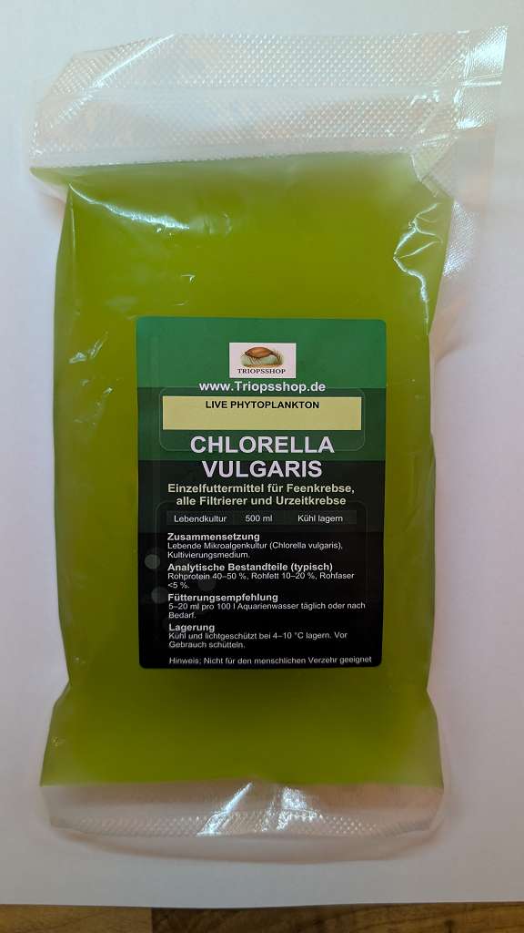 Chlorella vulgaris Süßwasser Phytoplankton lebend ca. 500ml
