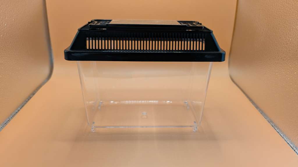 Fauna Box Mini für die Triops Aufzucht