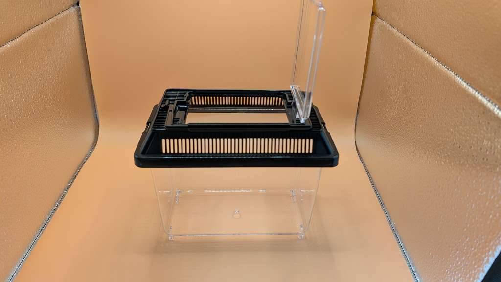 Kleine Fauna Box zur Triops Aufzucht