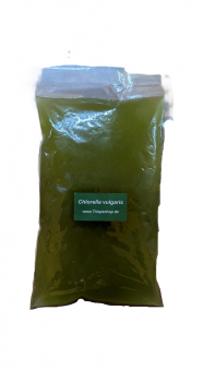 Chlorella vulgaris Süßwasser Phytoplankton lebend ca. 500ml