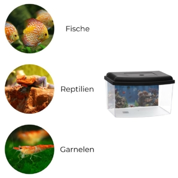 Nano Acryl Aquarium Terrarium