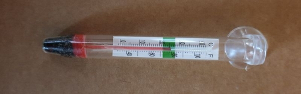 Wasserthermometer aus Glas mit Saugnapf